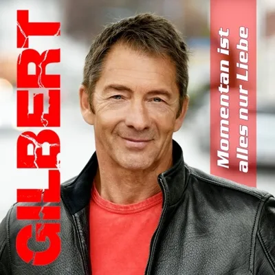 Cover Momentan ist alles nur Liebe