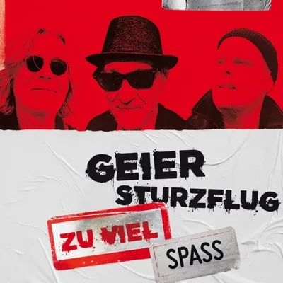 Cover Zu Viel Spaß