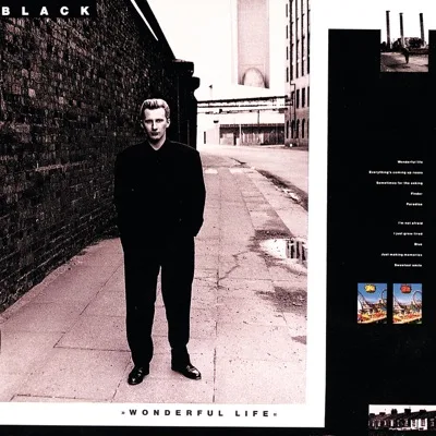 Cover Wonderful Life